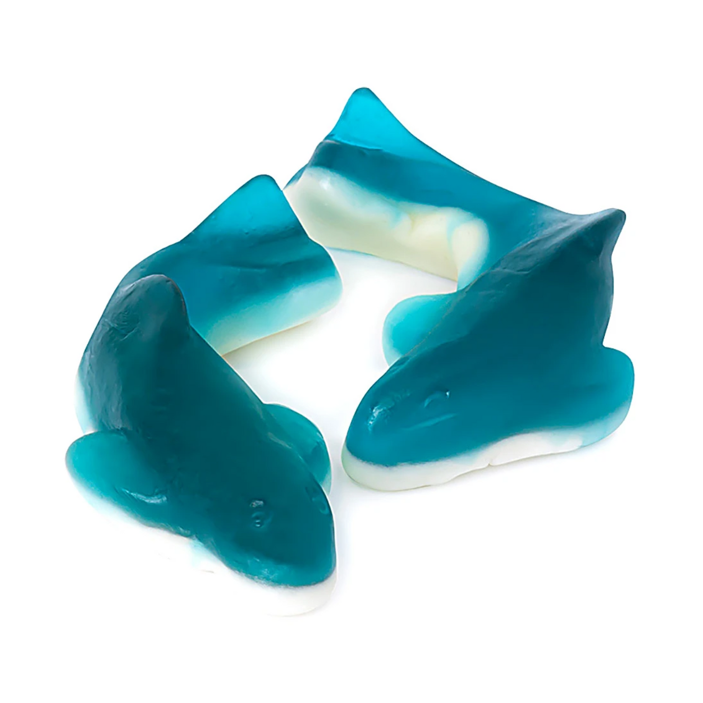 XL Blue Sharks